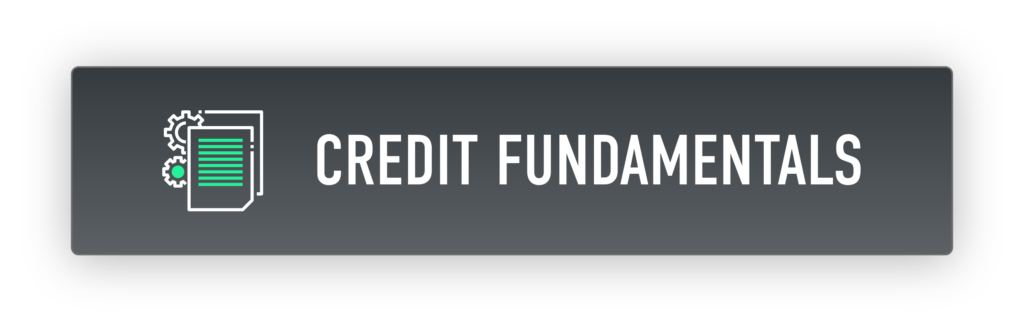 credit fundamental button with icon